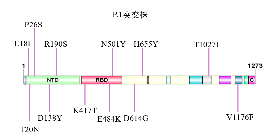 98e19faa-d47a-45a9-9758-f4954d908012.png