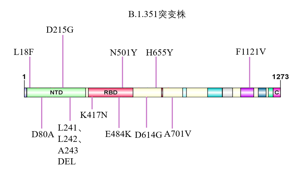 b9f38cd2-4775-4177-852b-1d4ab1780230.png